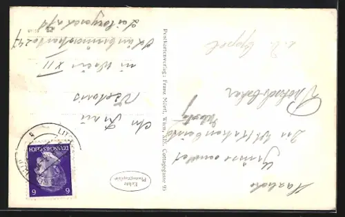 AK Litschau, Stadtplatz von oben