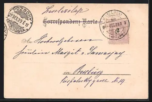 Lithographie Wien, Dampfer an der Stephaniebrücke