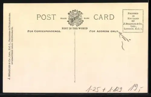 AK Wedding of the Duke of Kent & Princess Marina, Grand Duchess Kyra of Russia