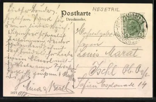 AK Mauerbach /N.-Oe., Steinbach bei Hadersdorf, Johann Rupp Restaurant