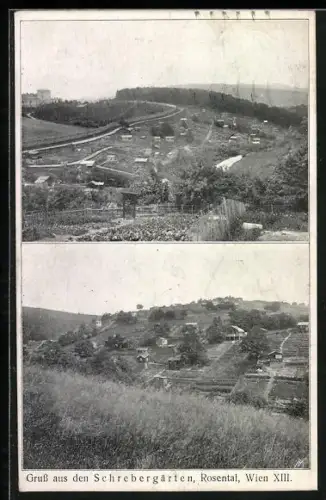 AK Wien, Rosental, Blick auf die Schrebergärten