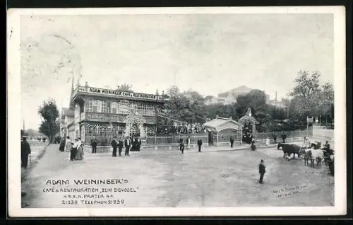 AK Wien, Adam Weininger`s Cafe & Restaurant zum Eisvogel am Prater 44