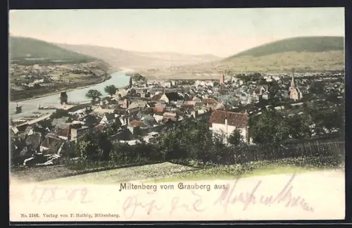 AK Miltenberg, Ortsansicht vom Grauberg aus gesehen