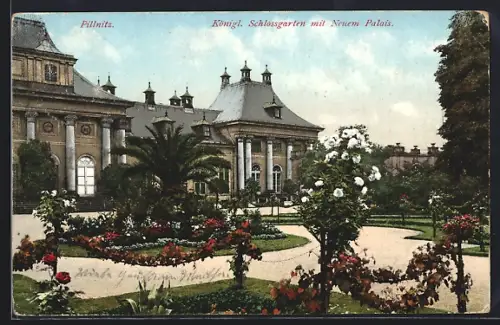 AK Dresden-Pillnitz, Königl. Schlossgarten mit Neuem Palais