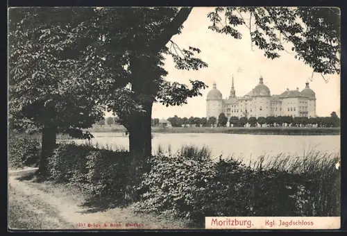AK Moritzburg / Sachsen, Königliches Jagdschloss