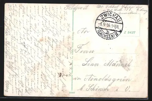 AK Zwickau, Schwanenschloss, Gondelplatz, Bismarckdenkmal, Römerplatz