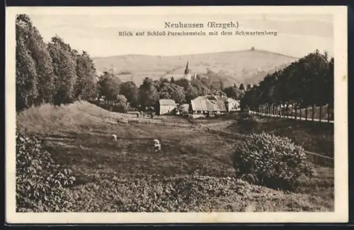 AK Neuhausen /Erzgeb., Blick auf Schloss Purschenstein mit dem Schwartenberg