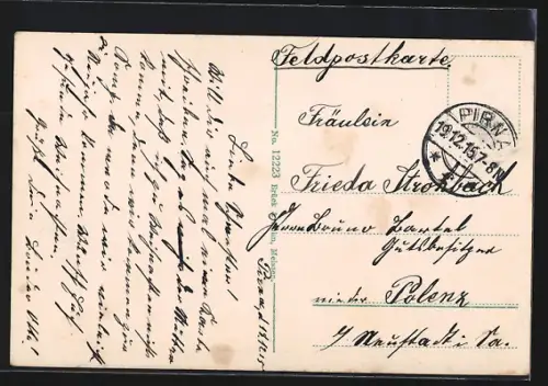 AK Pirna a. d. Elbe, Dampfer auf der Elbe, Panoramablick auf die Stadt