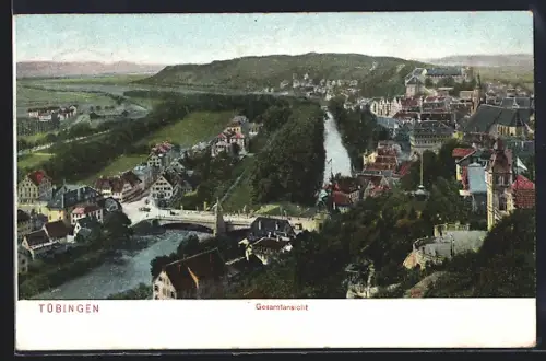 AK Tübingen, Gesamtansicht mit Neckar und Schloss