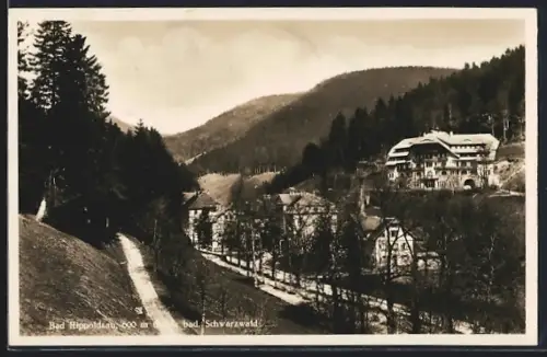 AK Bad Rippoldsau, Ortsansicht im Schwarzwald