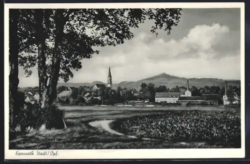 AK Kemnath /Opf., Ortsansicht mit Kirche und Landschaft