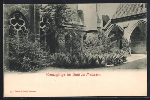 AK Meissen, Kreuzgänge im Dom