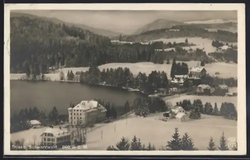 AK Titisee /Schwarzwald, Seepartie mit Hotel Titisee
