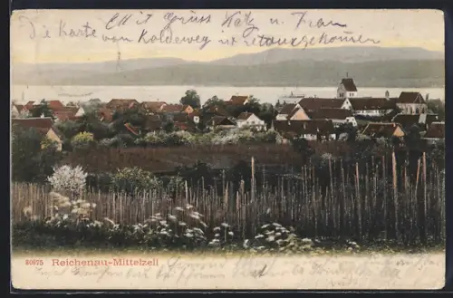 AK Reichenau-Mittelzell, Ortspanorama mit Blick zum Gebirge