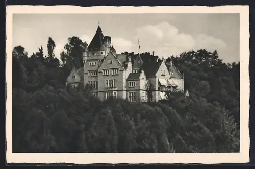 AK Schönberg / Hessen, Schloss Falkenhof, Müttererholungsheim der NSV