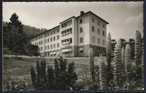 AK Dannenfels /Pfalz, Heilstätte der BASF am Donnersberg