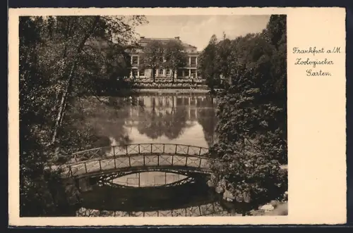 AK Frankfurt-Ostend, Zoologischer Garten, Seepartie mit Brücke