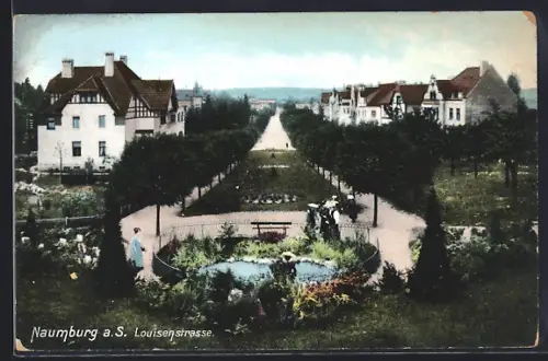 AK Naumburg a. S., Louisenstrasse, Gartenanlage, Wohnhäuser