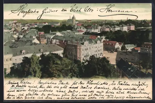 AK Mittweida, Blick über die Dächer vom Ort