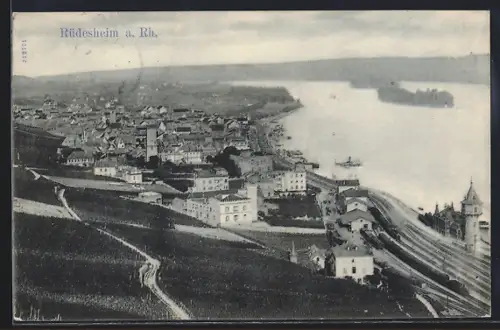 AK Rüdesheim a. Rh., Ortsansicht mit Rheinlauf
