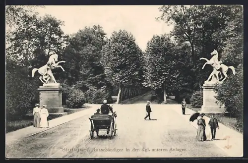 AK Stuttgart, Rossebändiger in den Kgl. unteren Anlagen