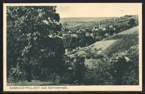 AK Sasbachwalden /Bad. Schwarzwald, Ortsansicht mit Weinreben