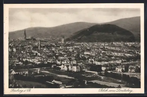 AK Freiburg / Breisgau, Totalansicht