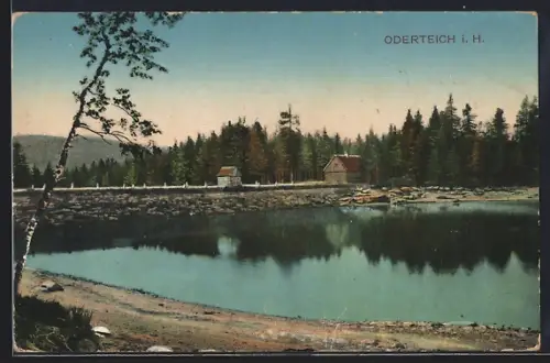 AK Oderteich i. H., Seepartie