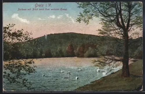 AK Greiz i. V., Parksee mit Blick nach dem weissen Kreuz