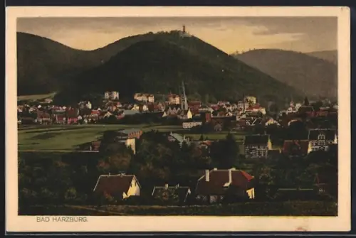 AK Bad Harzburg, Ortsansicht