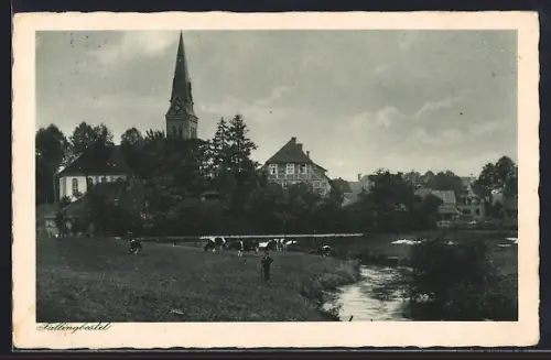 AK Fallingbostel, Ortsansicht