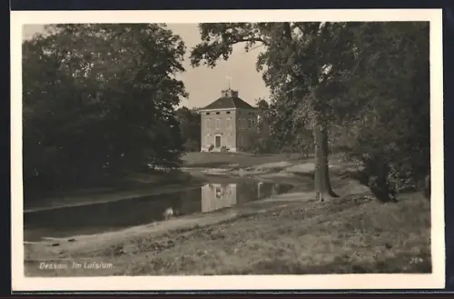 AK Dessau, Im Luisium