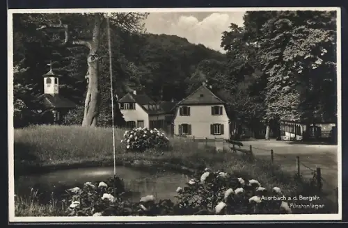 AK Auerbach /Bergstr., Fürstenlager, Ortspartie mit Kirche