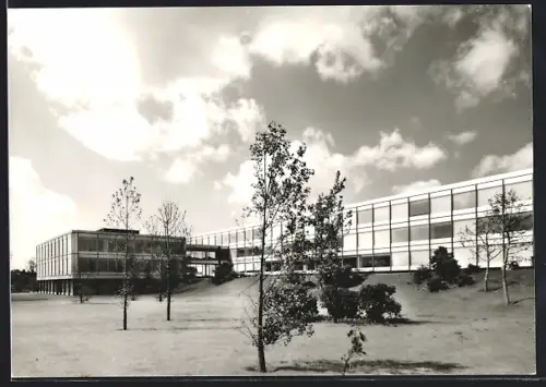 AK Düsseldorf, Hauptverwaltungsgebäude der Helmut Horten GmbH, am Seestern