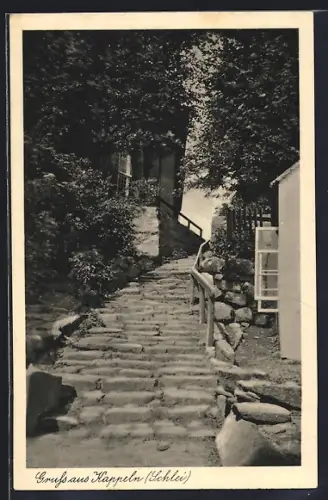 AK Kappeln /Schlei, Steinerne Treppe im Grünen