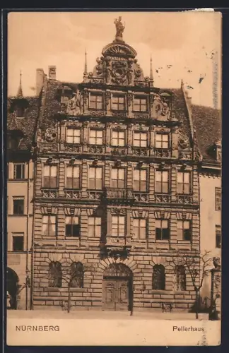 AK Nürnberg, Gesamtansicht des Pellerhauses