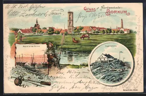 Lithographie Borkum, Vogelkolonie, Abend an der Buhne, Ortsansicht mit Weide