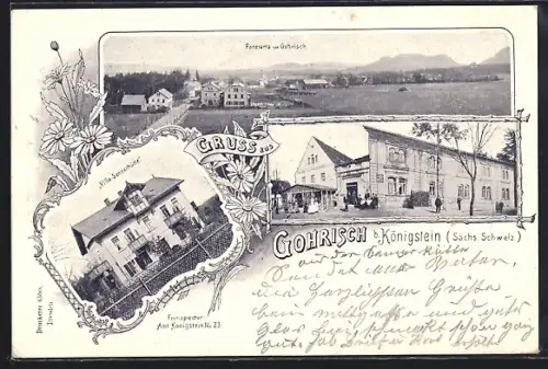 Lithographie Gohrisch / Sächs. Schweiz Panorama, Villa Sennerhütte, Gasthaus