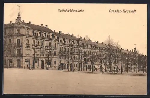 AK Dresden-Neustadt, Partie in der Waldschlösschenstrasse