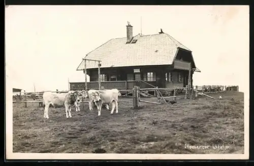 AK Touristenhaus am Hochanger, Berghütte mit Kühen