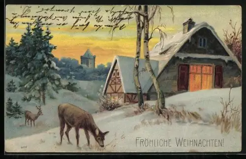 AK Hirsche vor einem Haus bei Schnee