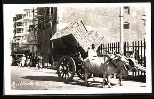 AK Ochsengespann, Bombay, Bullock Cart