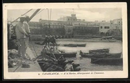 AK Casablanca, a la Marine, debarquement de Chameaux