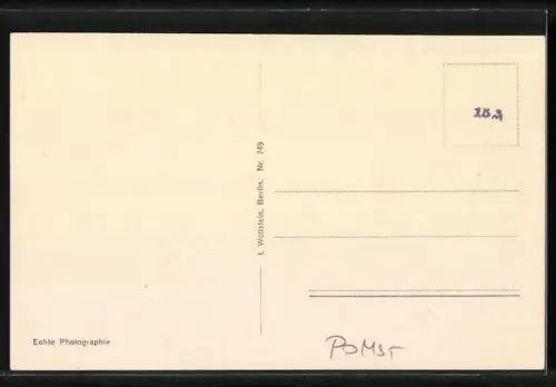 AK Swinemünde, Ostmolenkopf mit Torpedoboot