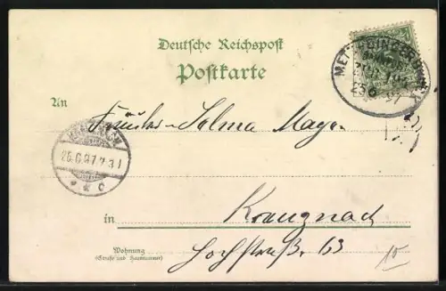 Lithographie Metz, Esplanade mit Justizpalast, Städt. Triebwerke, Ney Denkmal, Jungfernwehr