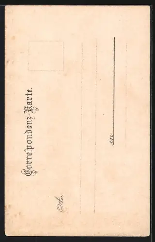 Lithographie Wien, Häuser am neuen Markt