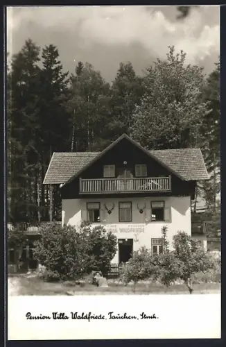 AK Tauchen /Stmk., Pension Villa Waldfriede