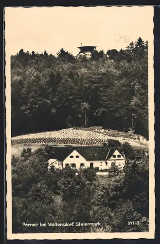 AK Bad Waltersdorf, Perner mit Aussichtsturm