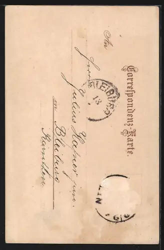 Lithographie Wien, Stephansplatz bei Nacht