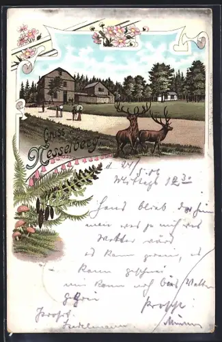 Lithographie Nesselberg, Ansicht mit Hirschen